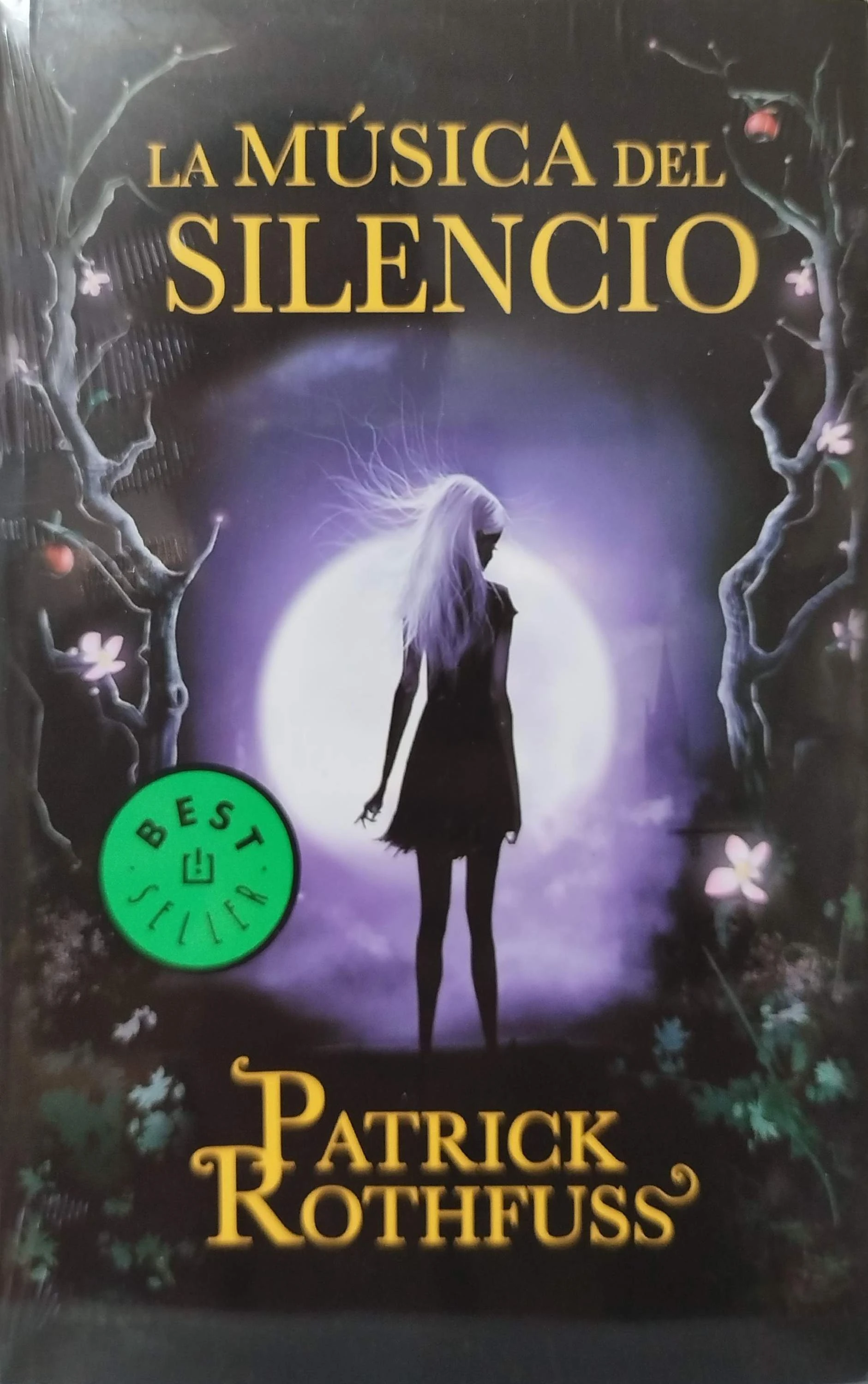 LA MUSICA DEL SILENCIO 