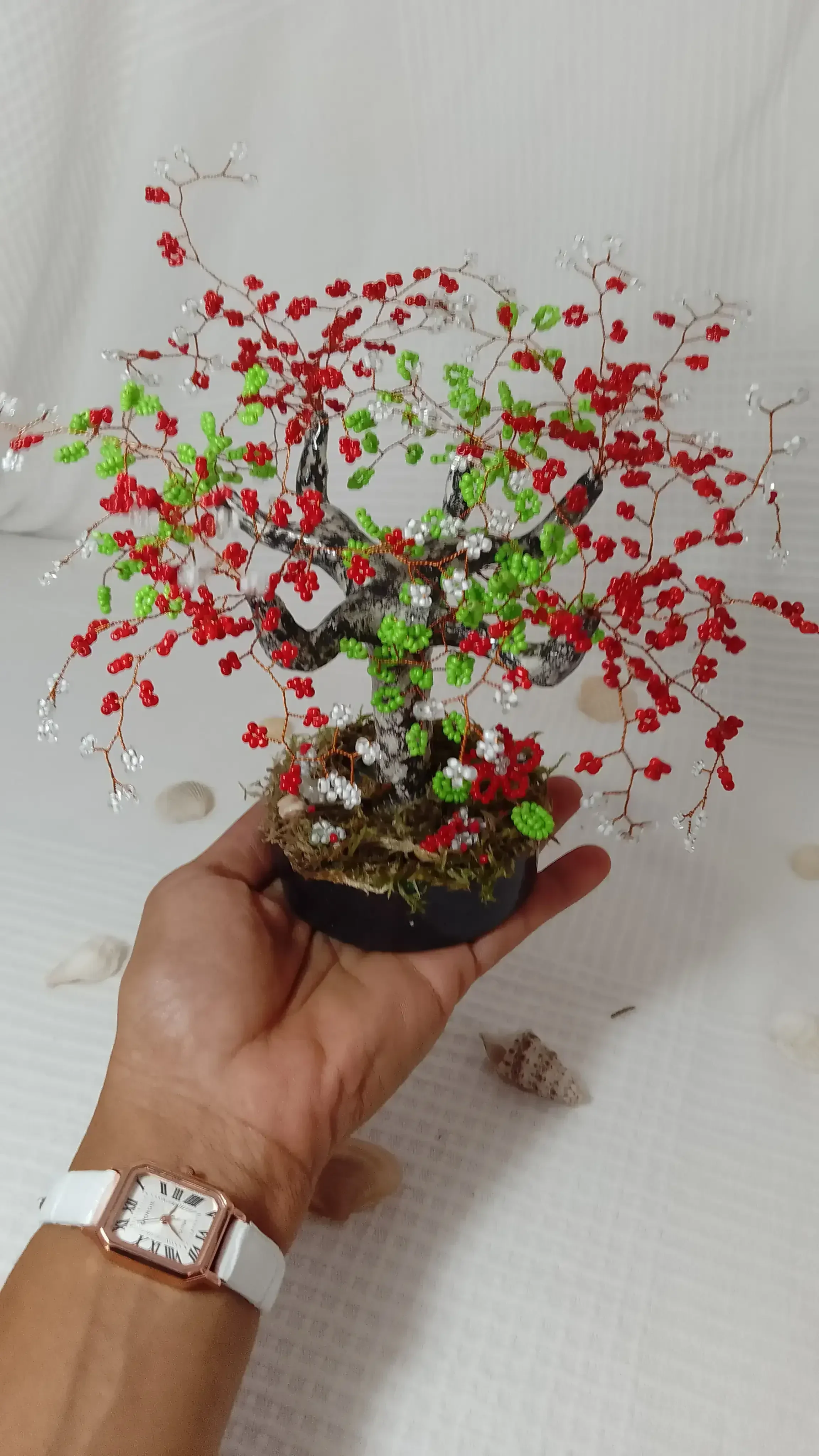 Bonsai Primavera Roja 4