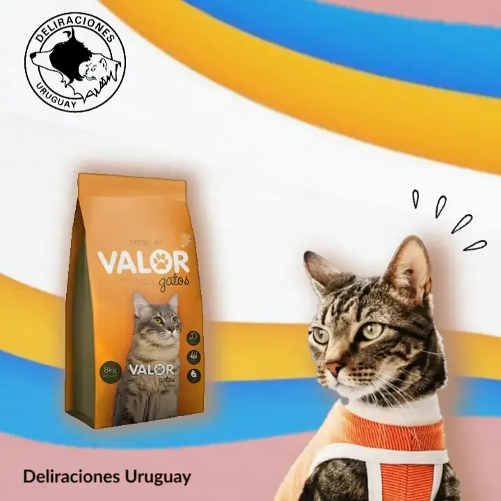 Valor