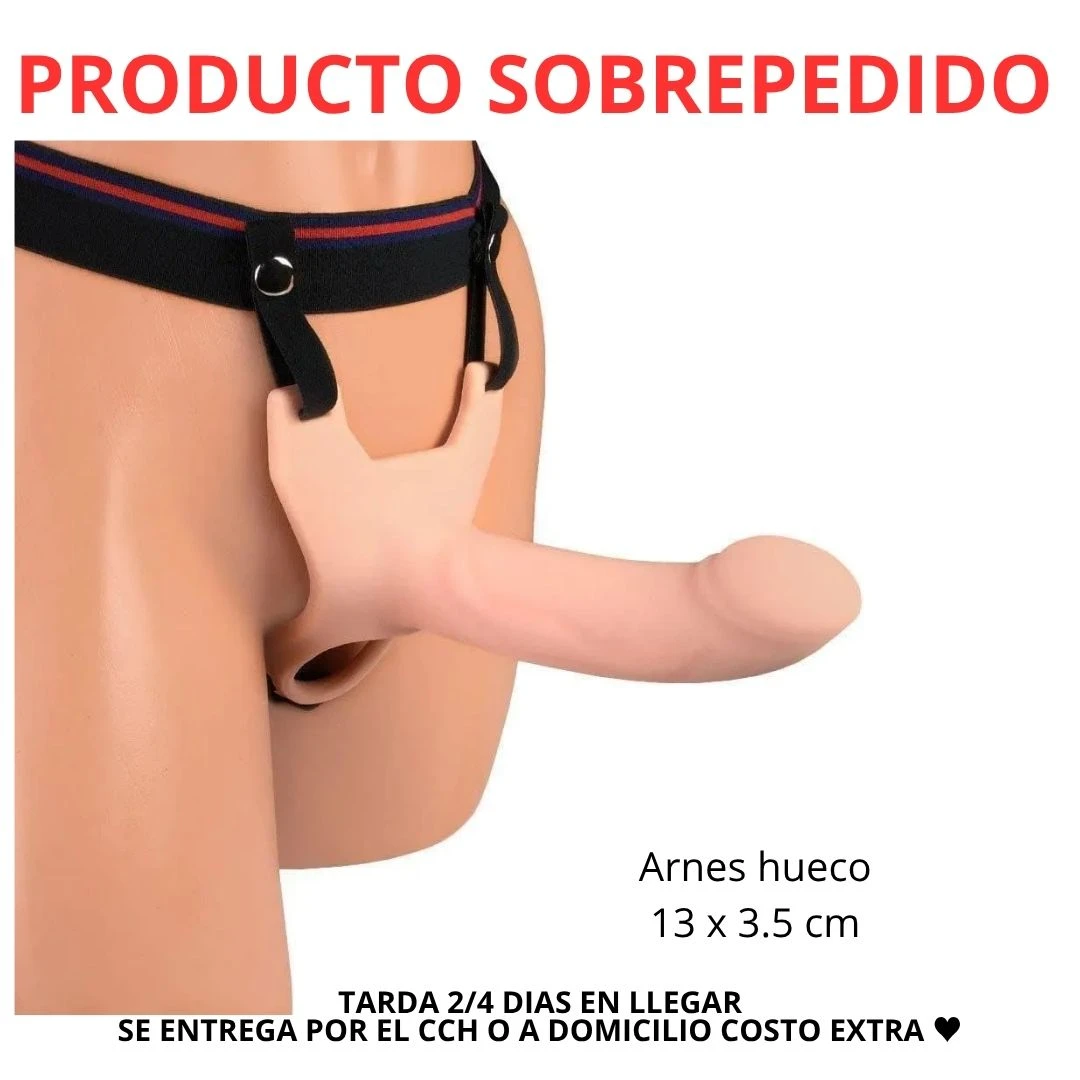 FUNDA ARNES