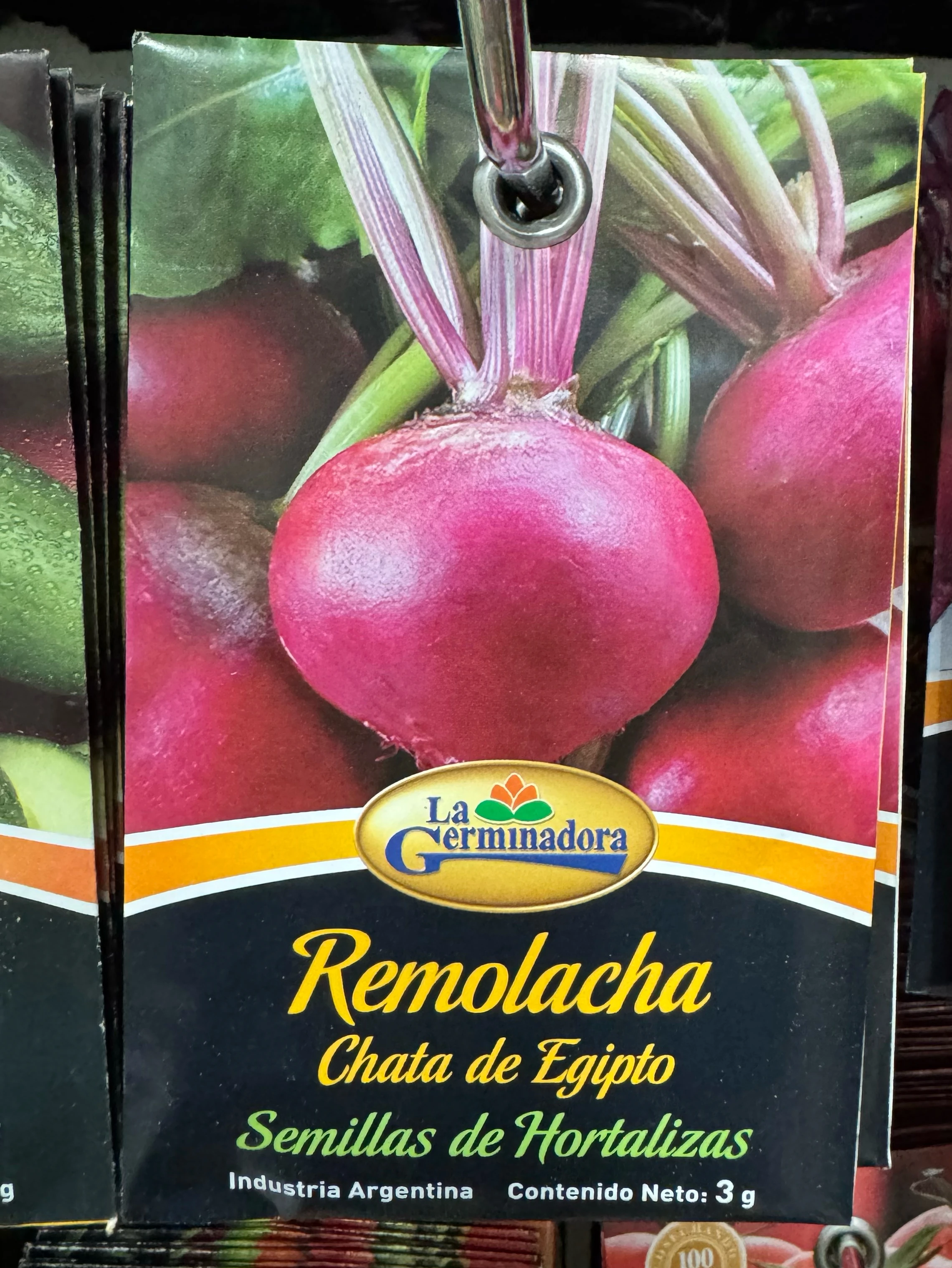 Remolacha chata de Egipto