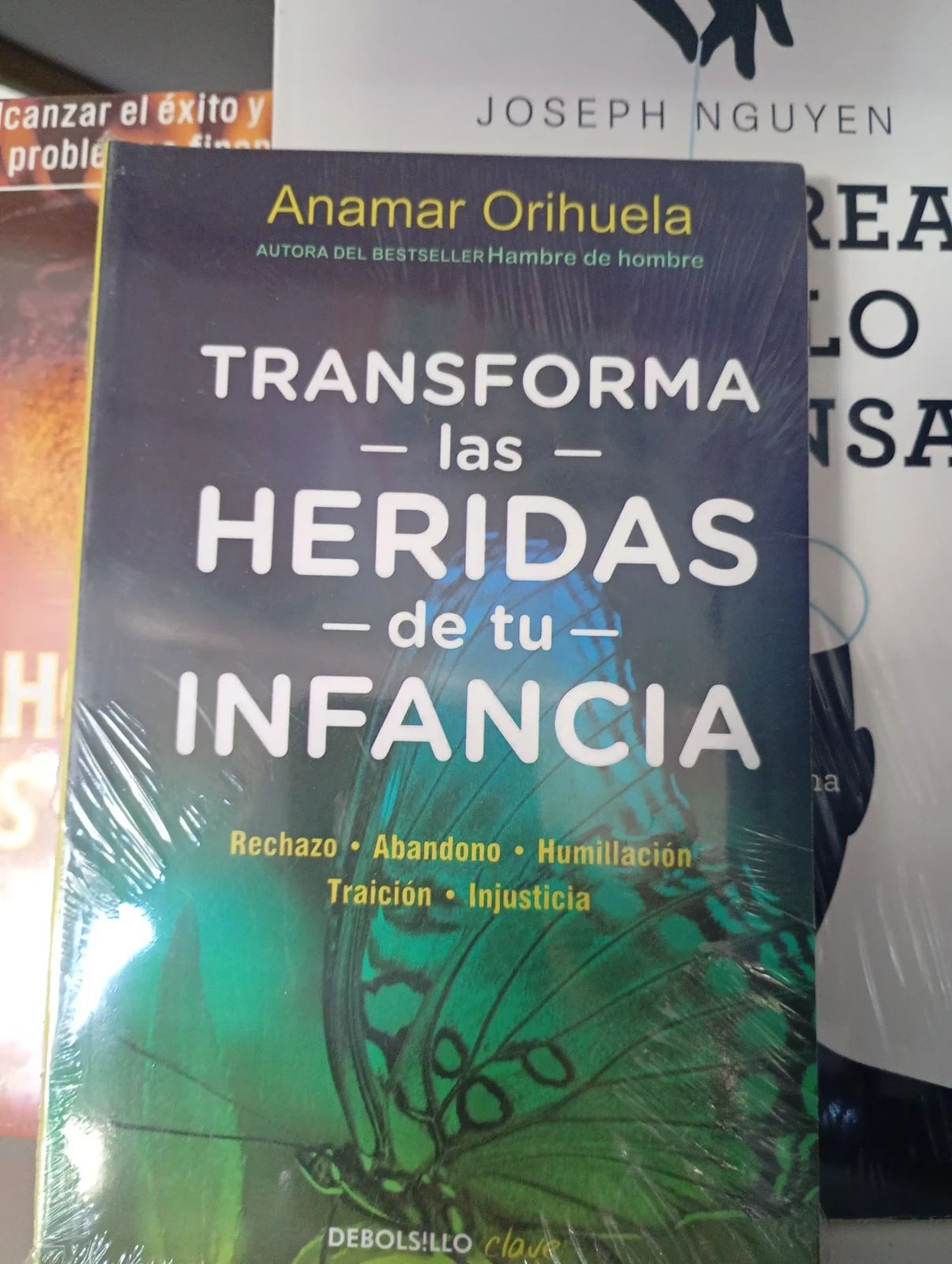 Transforma las heridas de tu infancia 