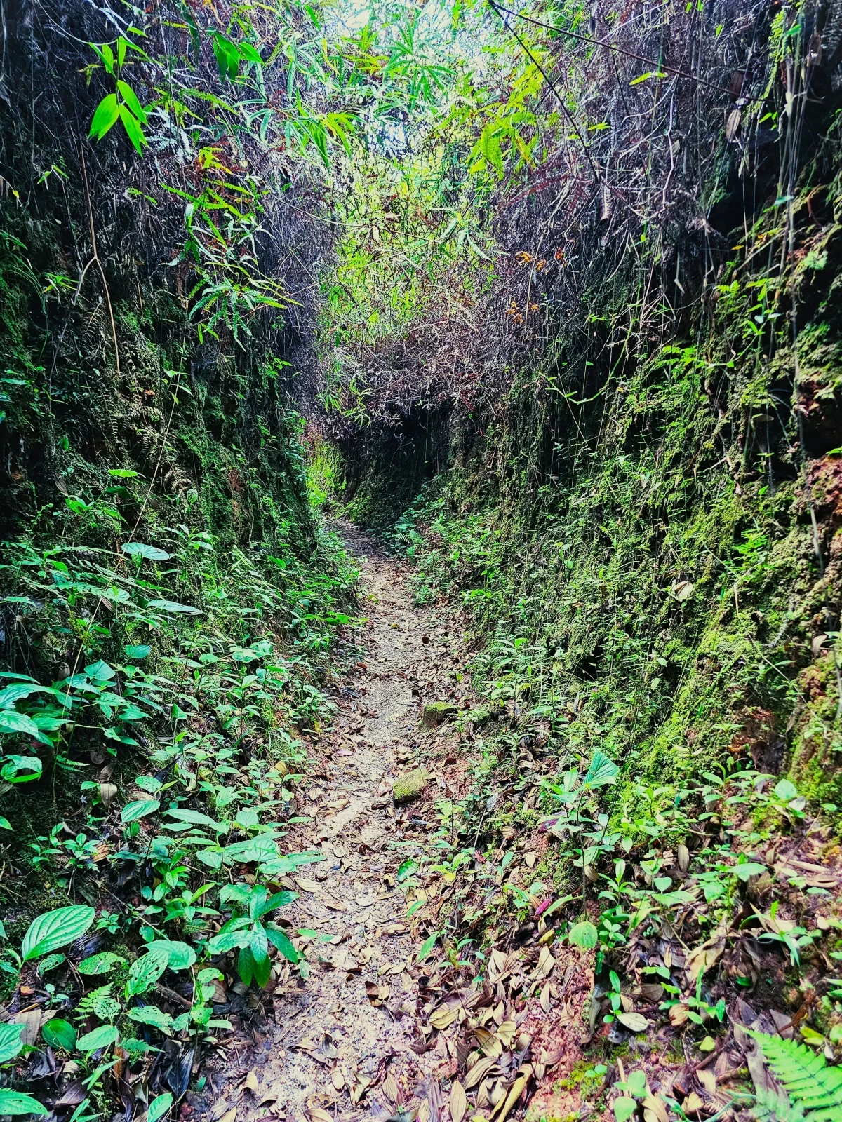 SAN PEDRO DE LOS MILAGROS A SOPETRAN ANTIOQUIA 2