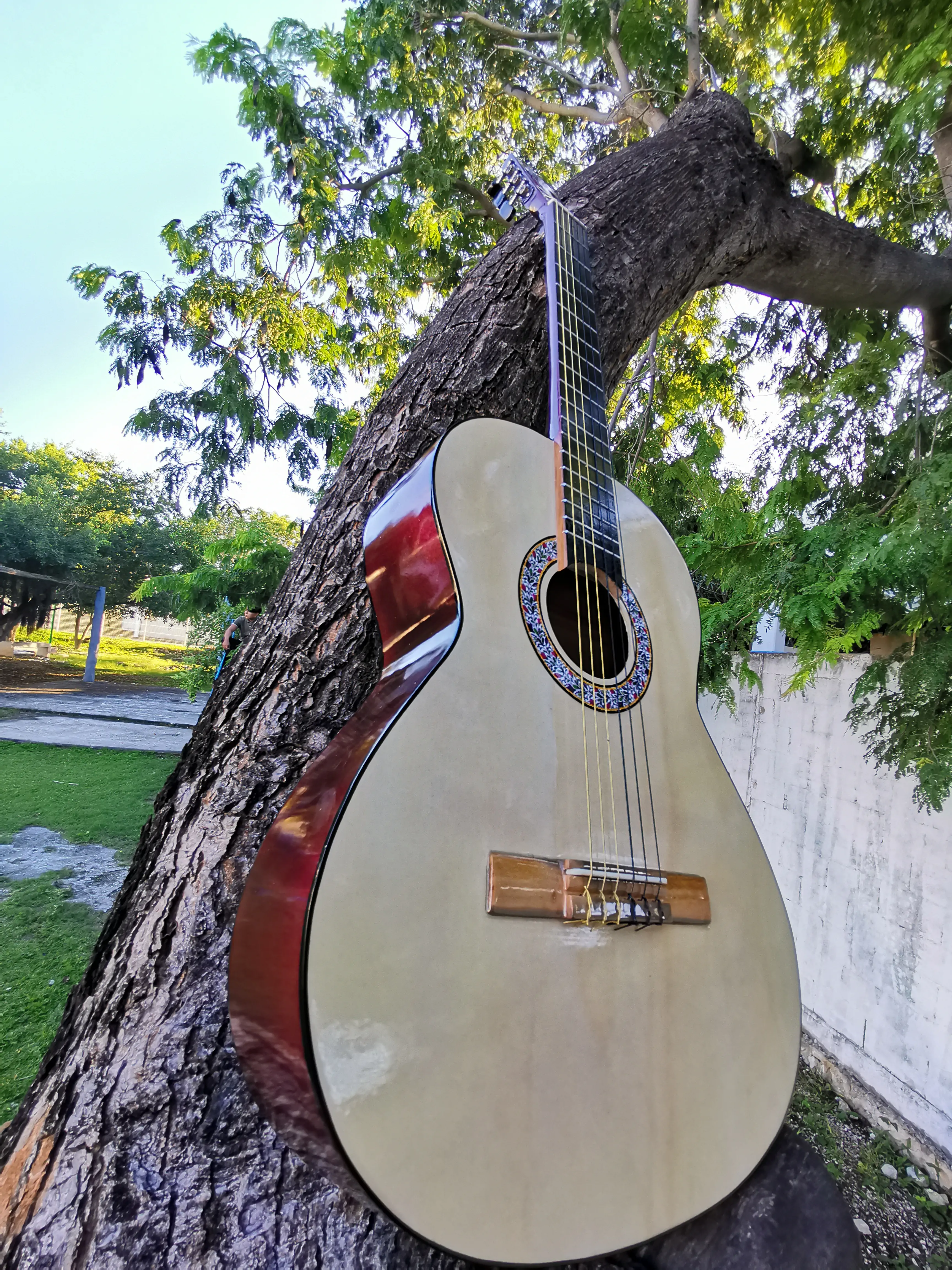 Guitarra clásica vino 4