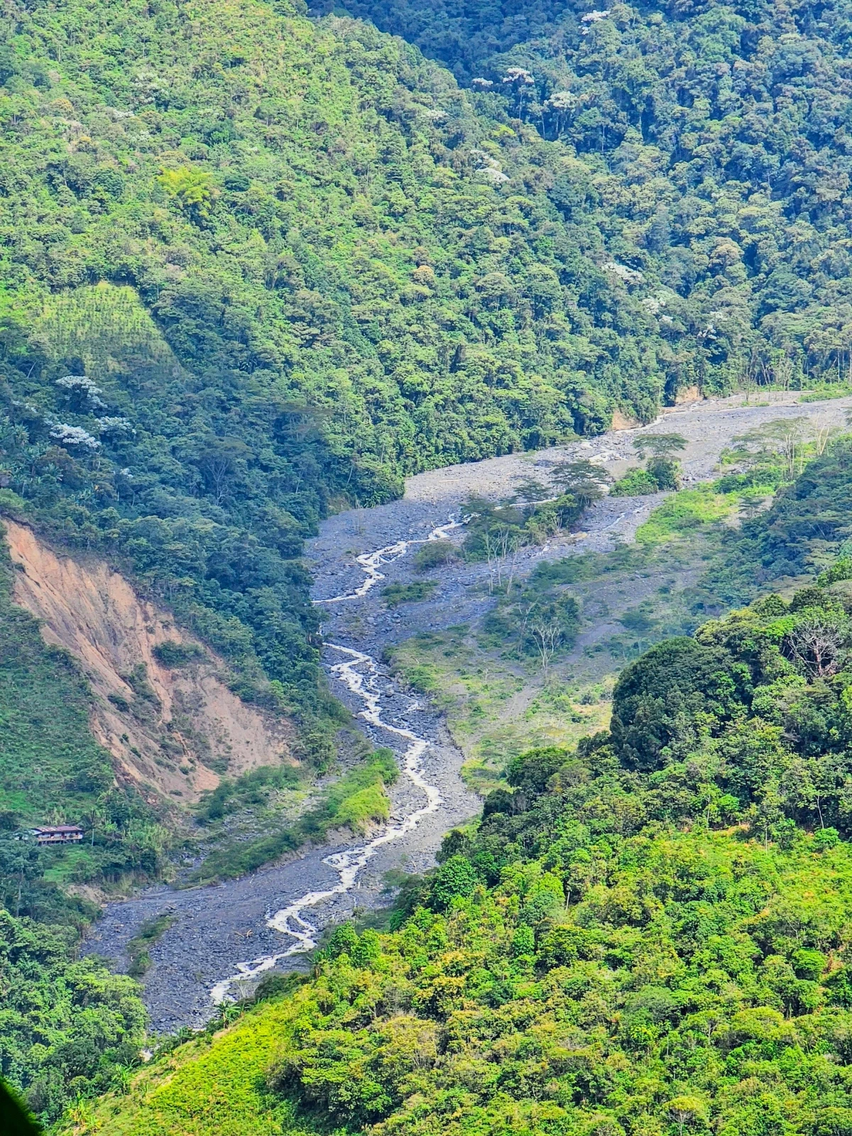 VERDUM RESERVA NATURAL LA CELIA RISARALDA 5