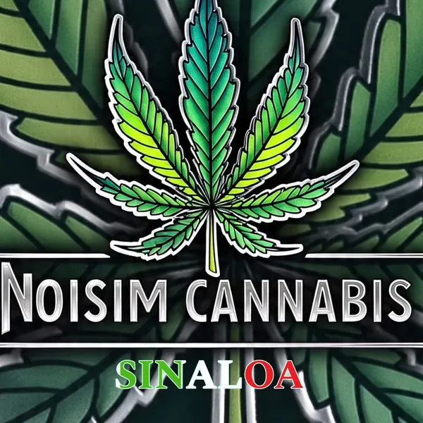 Cannabis