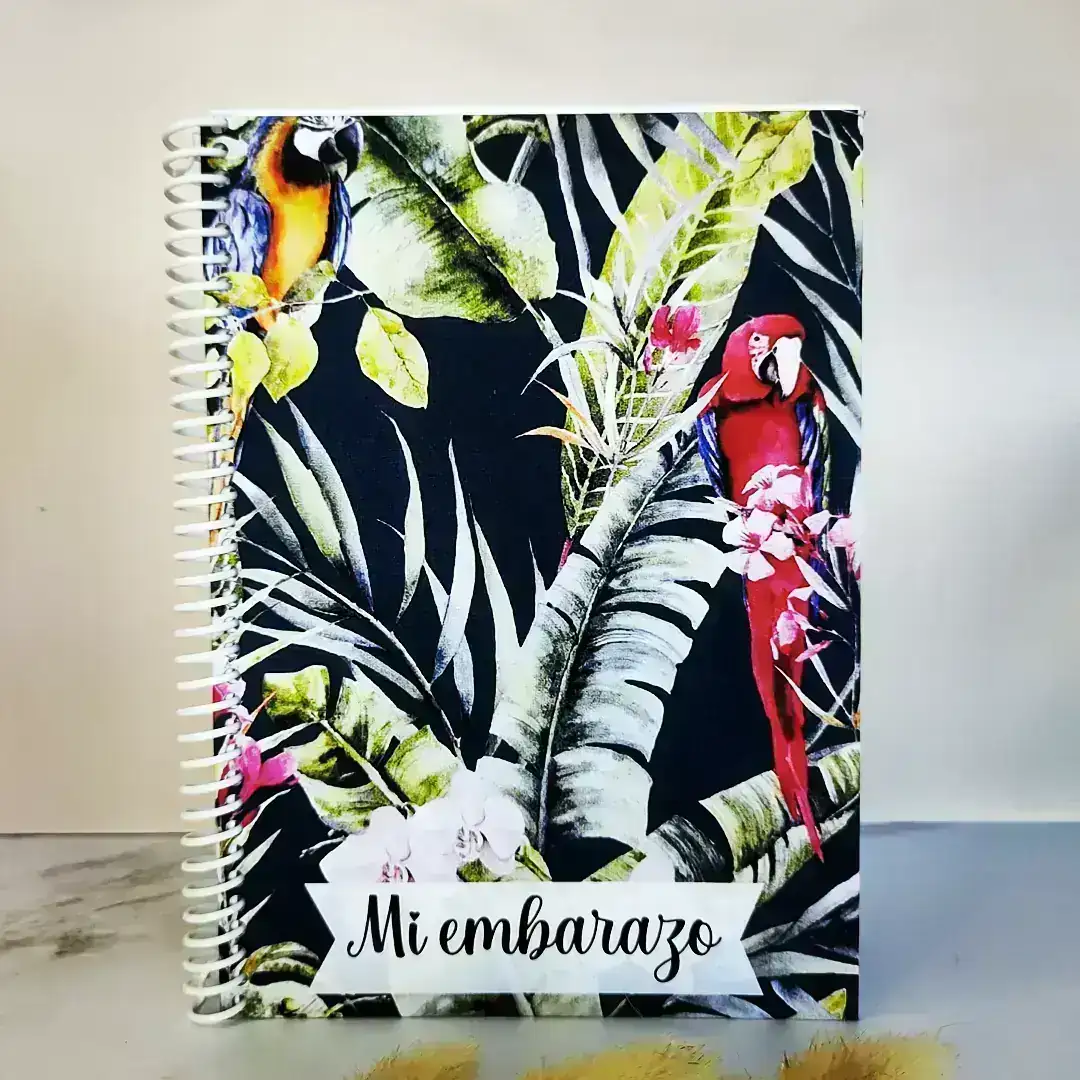 Agenda tucanes