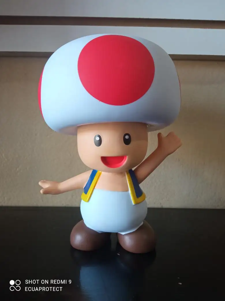 TOAD 🍄