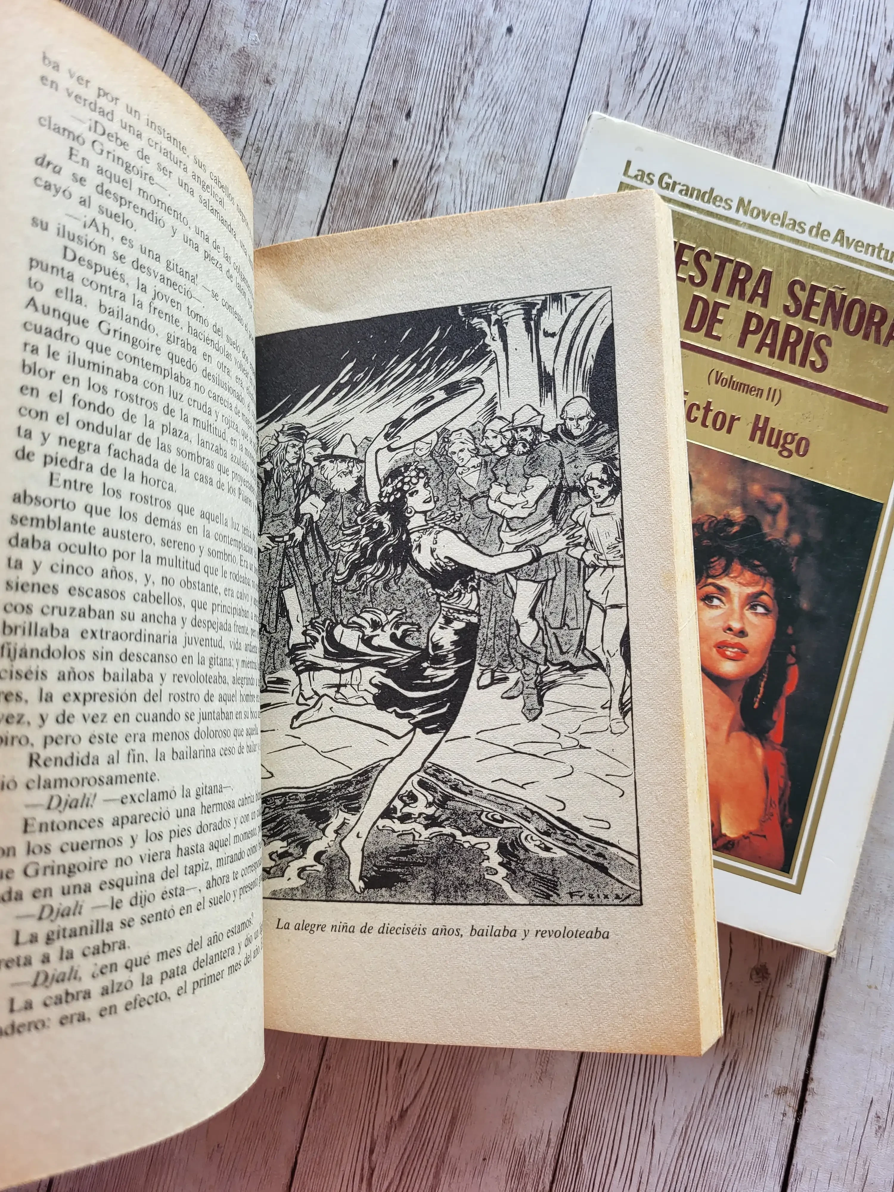Nuestra señora de París en II Tomos / Victor Hugo / Aventura /Clasicos 4