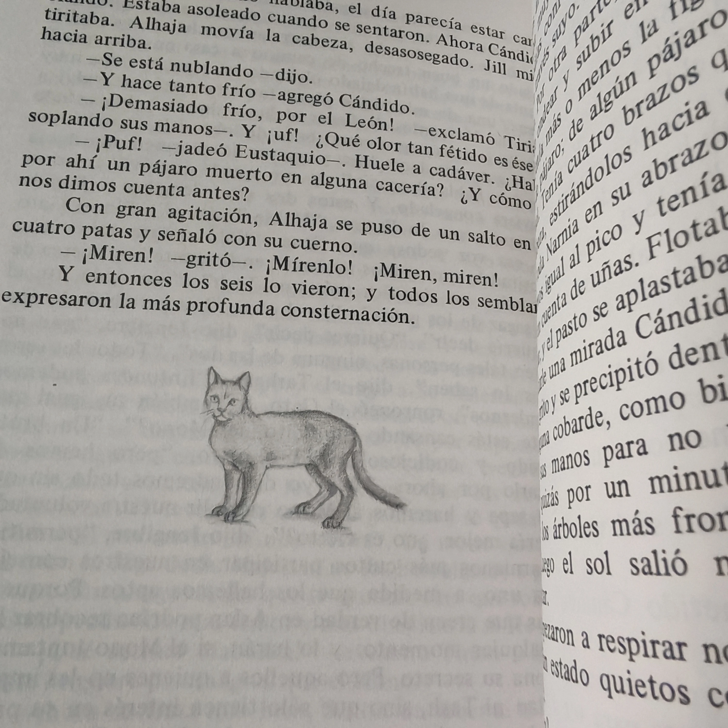 Las crónicas de Narnia, la última batalla, C. S. Lewis nuevo  3