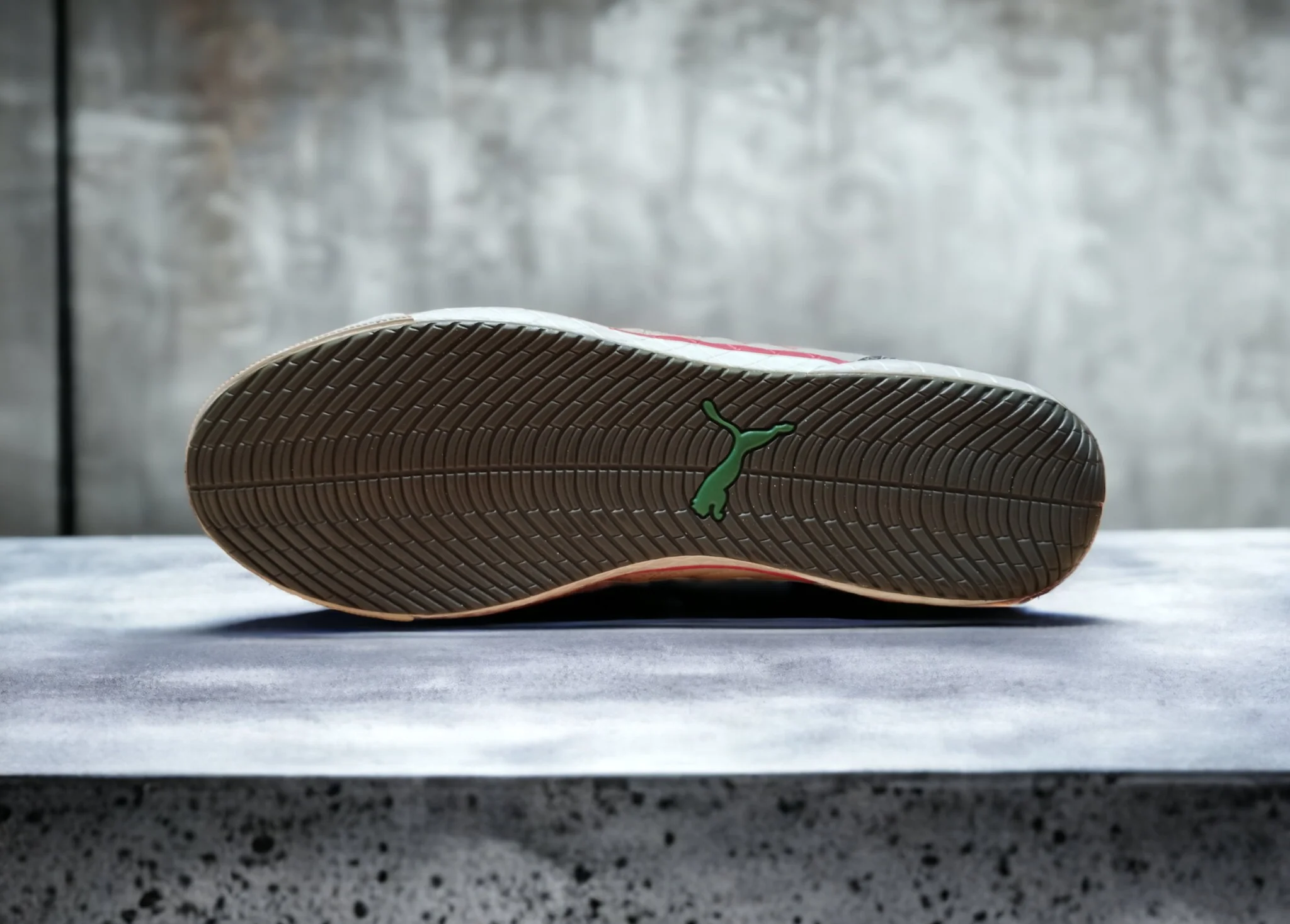 Puma Lightgray 2
