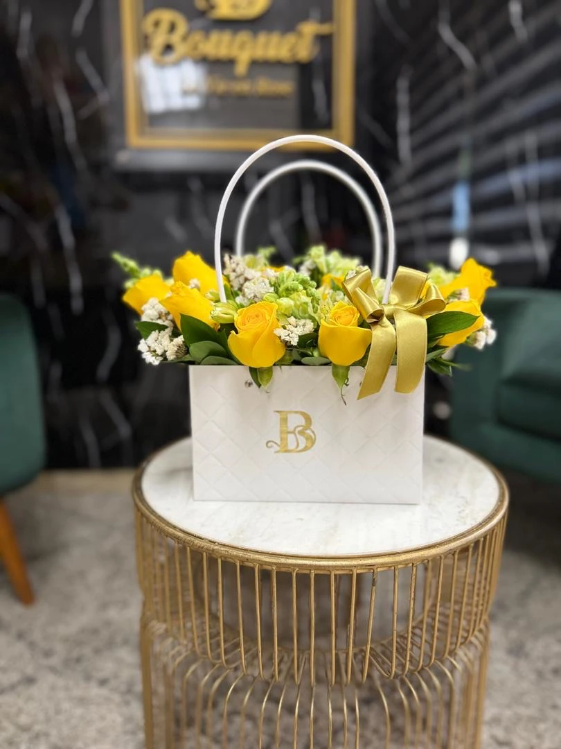 Cartera primavera  2