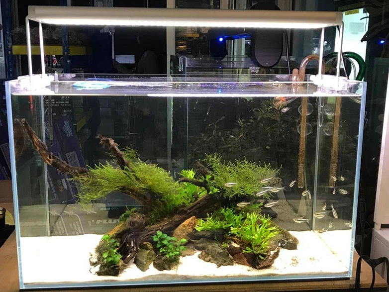Lampara  45-60cm Plantado Aquanice Dee-d4 19w  3