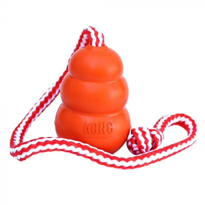 KONG Aqua Large 2