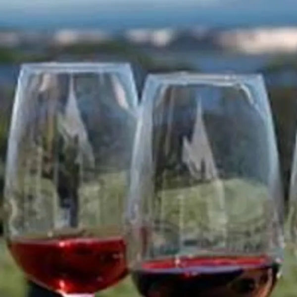 VINOS 