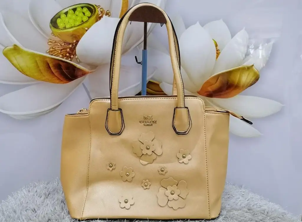 Bolso coach clon