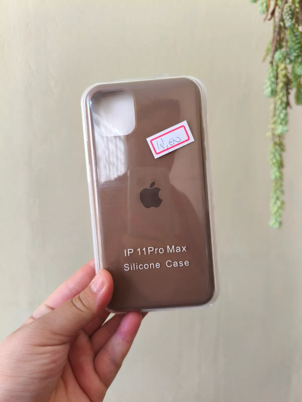 11 promax