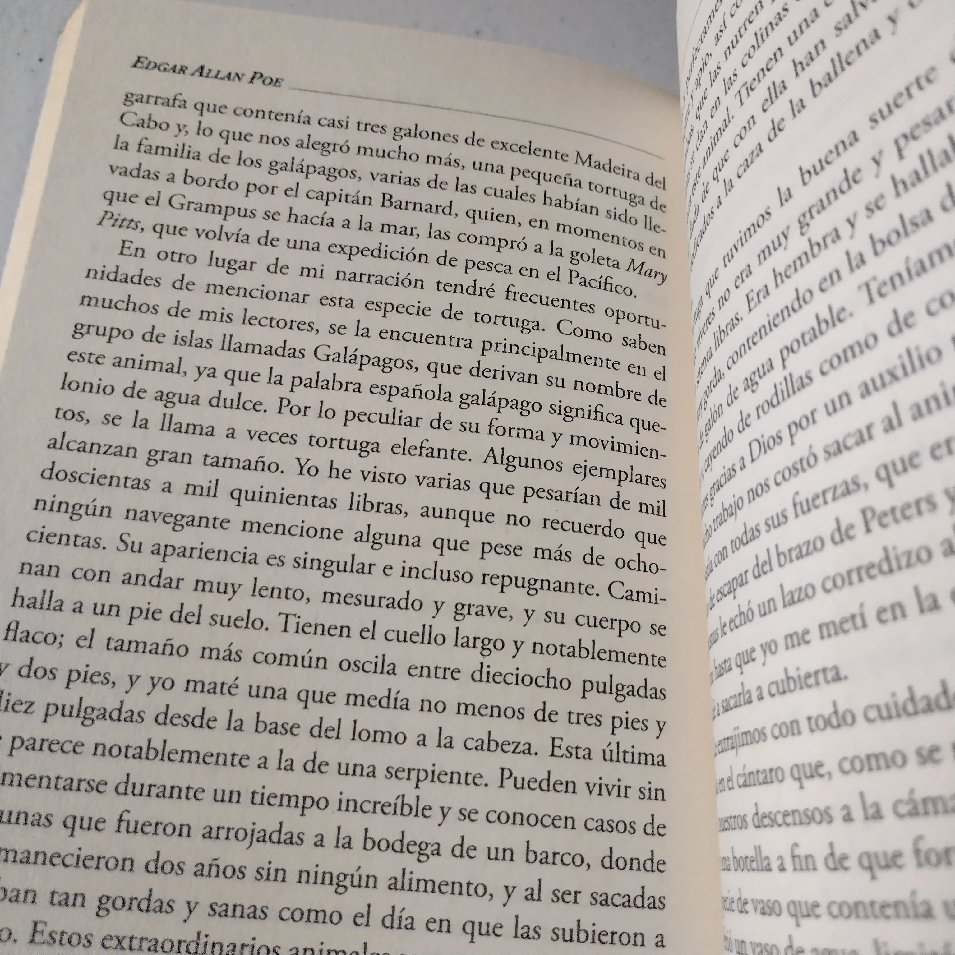 Narración de Arthur Gordon Pym, Edgar Allan Poe, nuevo 3