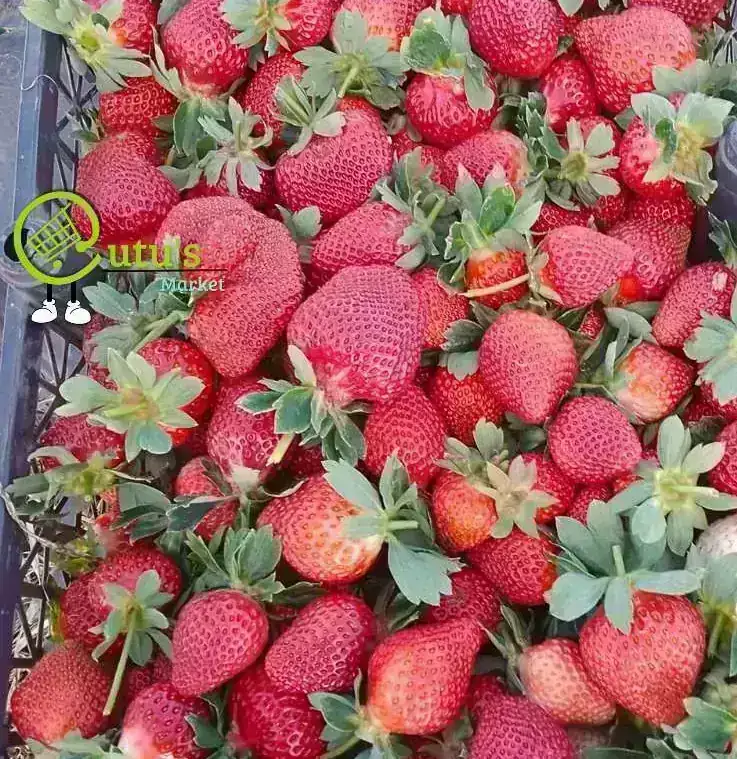 CAJA DE FRESA CLASE A  (28 a 30 libras)