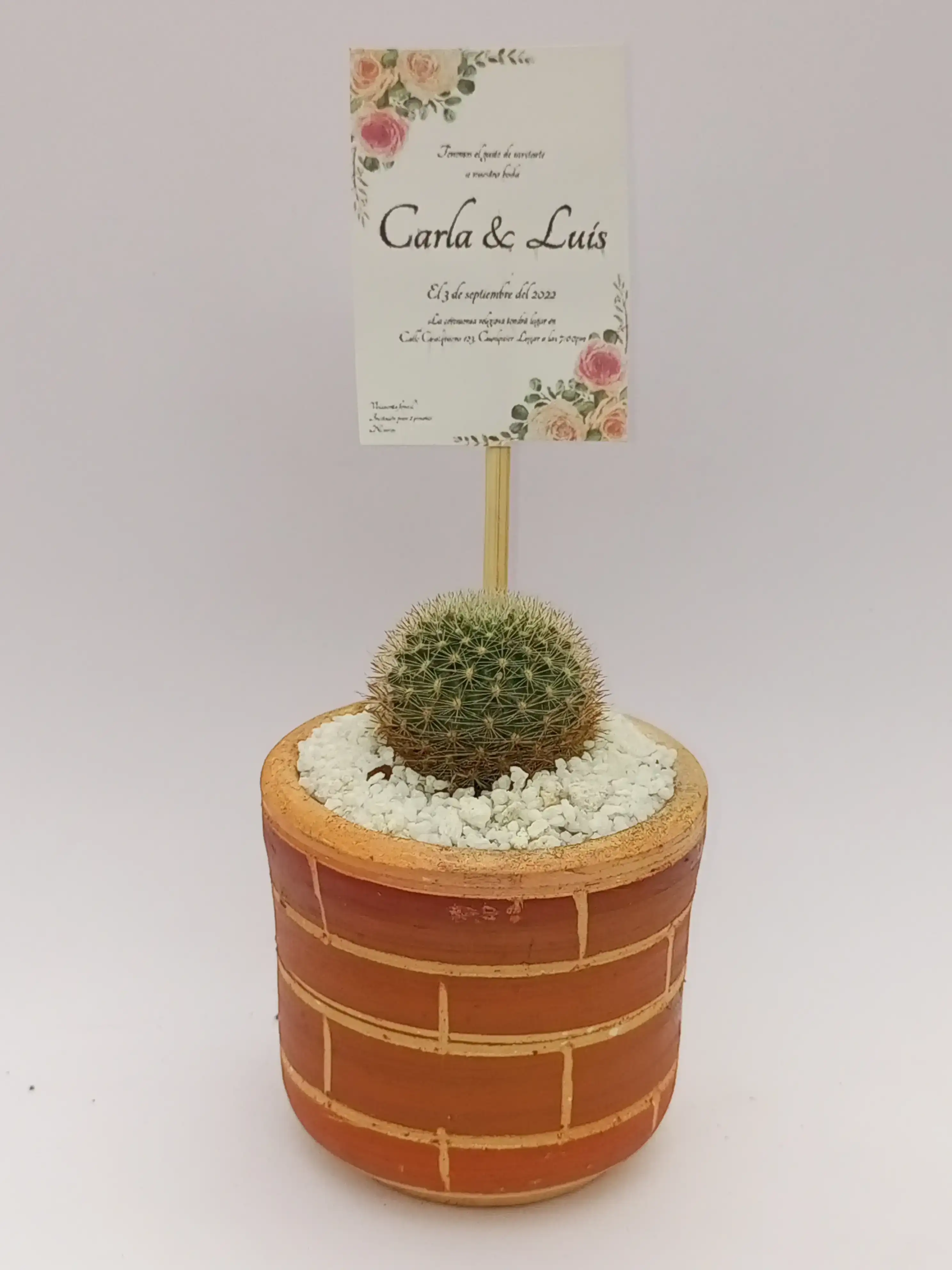 Maceta de barro mediana  4