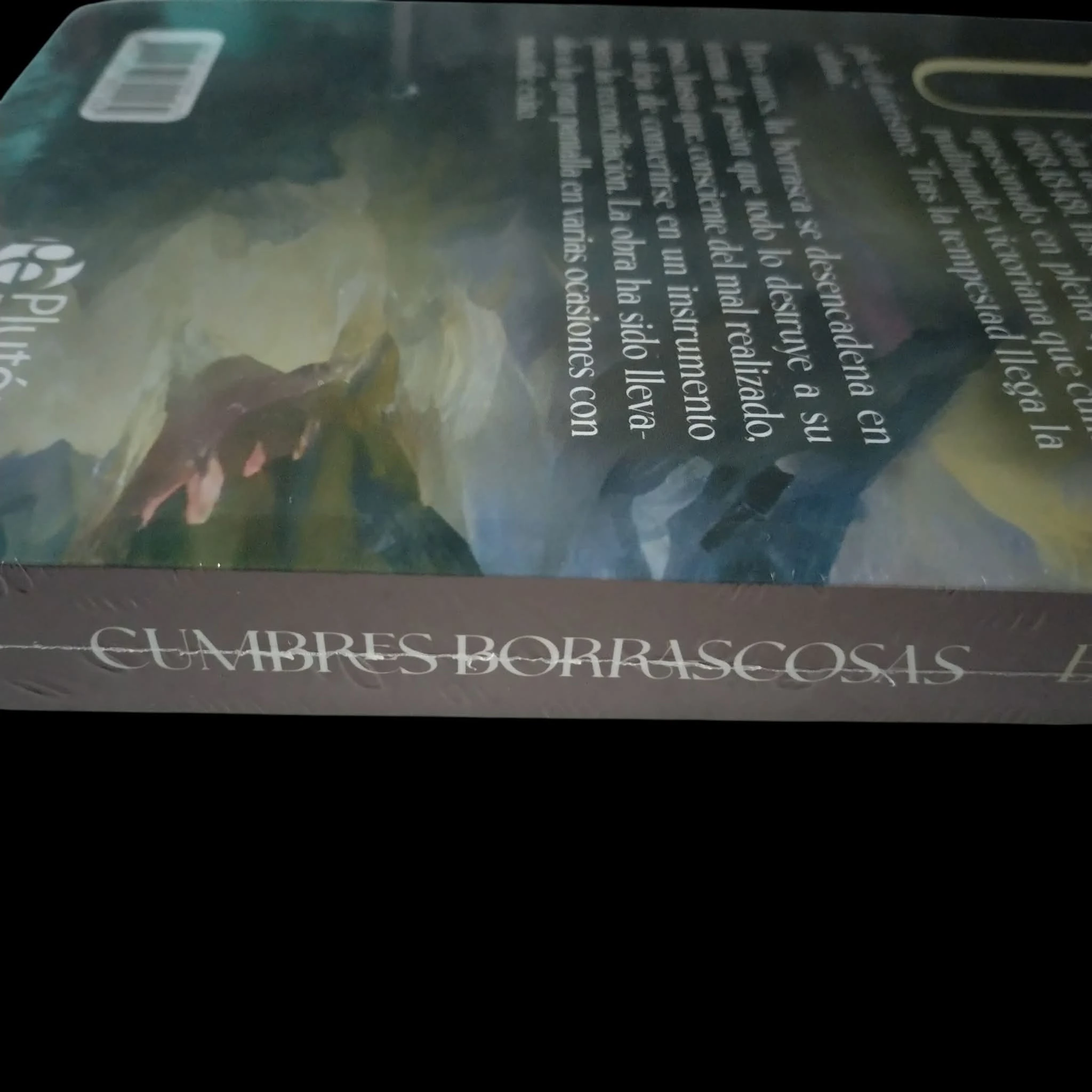 Cumbres borrascosas, Emily Bronte nuevo  3