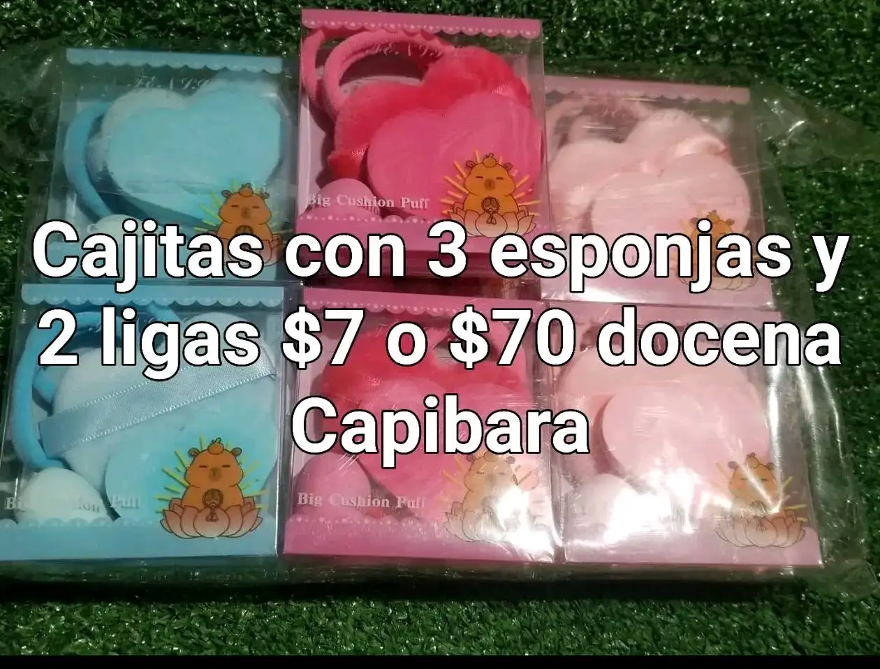 Set esponjas doc