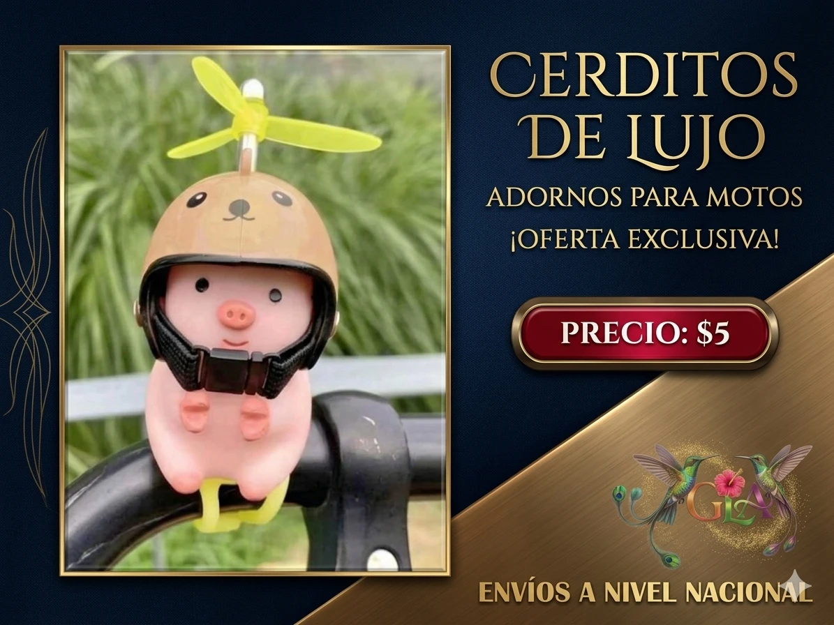 Adornos para motos 