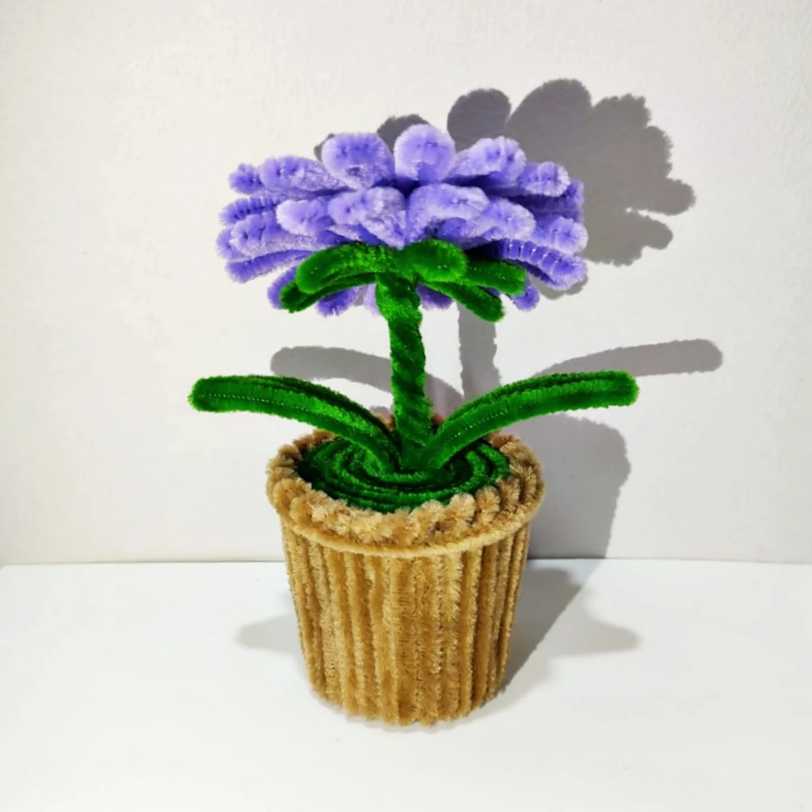 Macetita de Gerbera 4