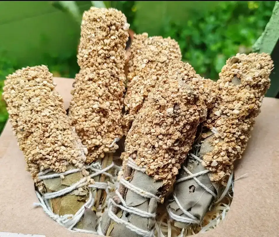 Sahumerio Naranja - Citronella 