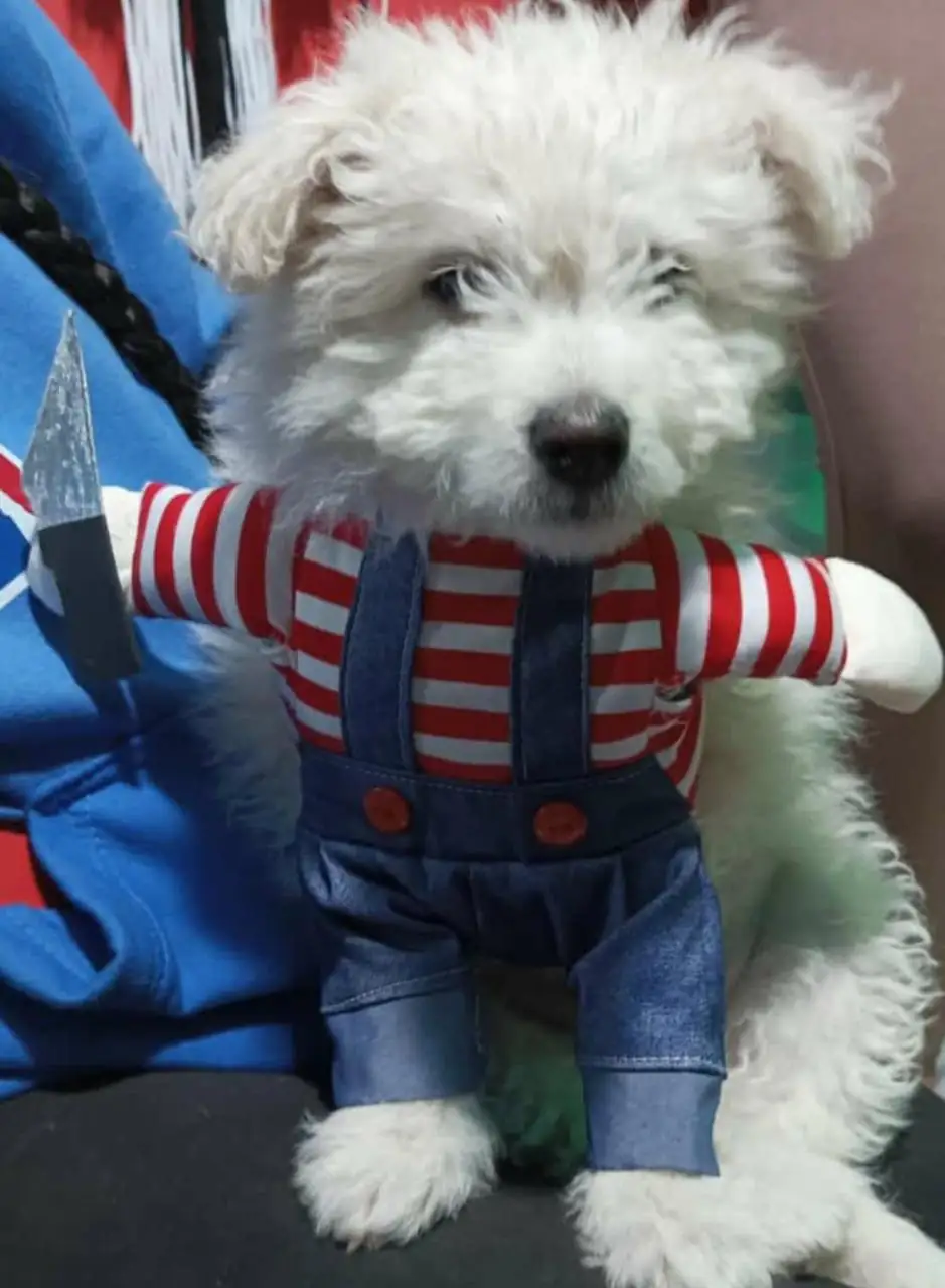 CHUKY