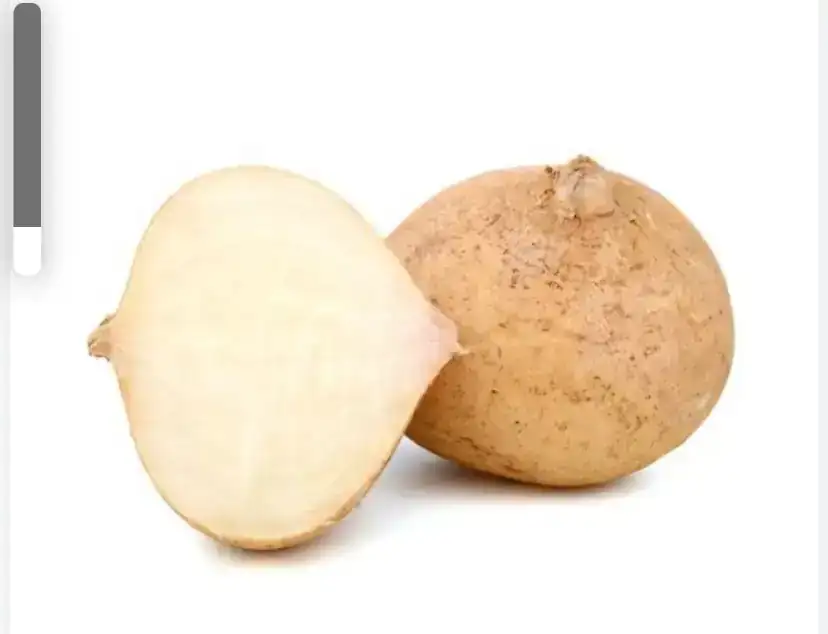 Jicama 