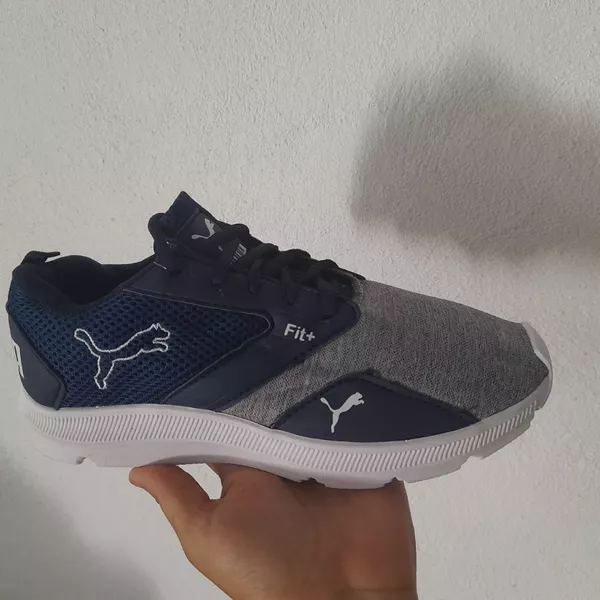 Puma 4