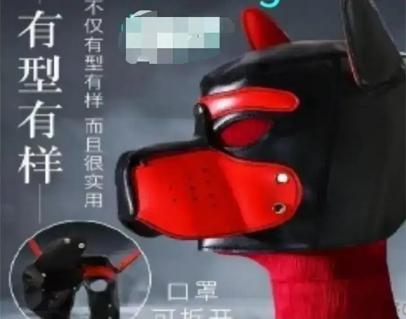 Casco dog