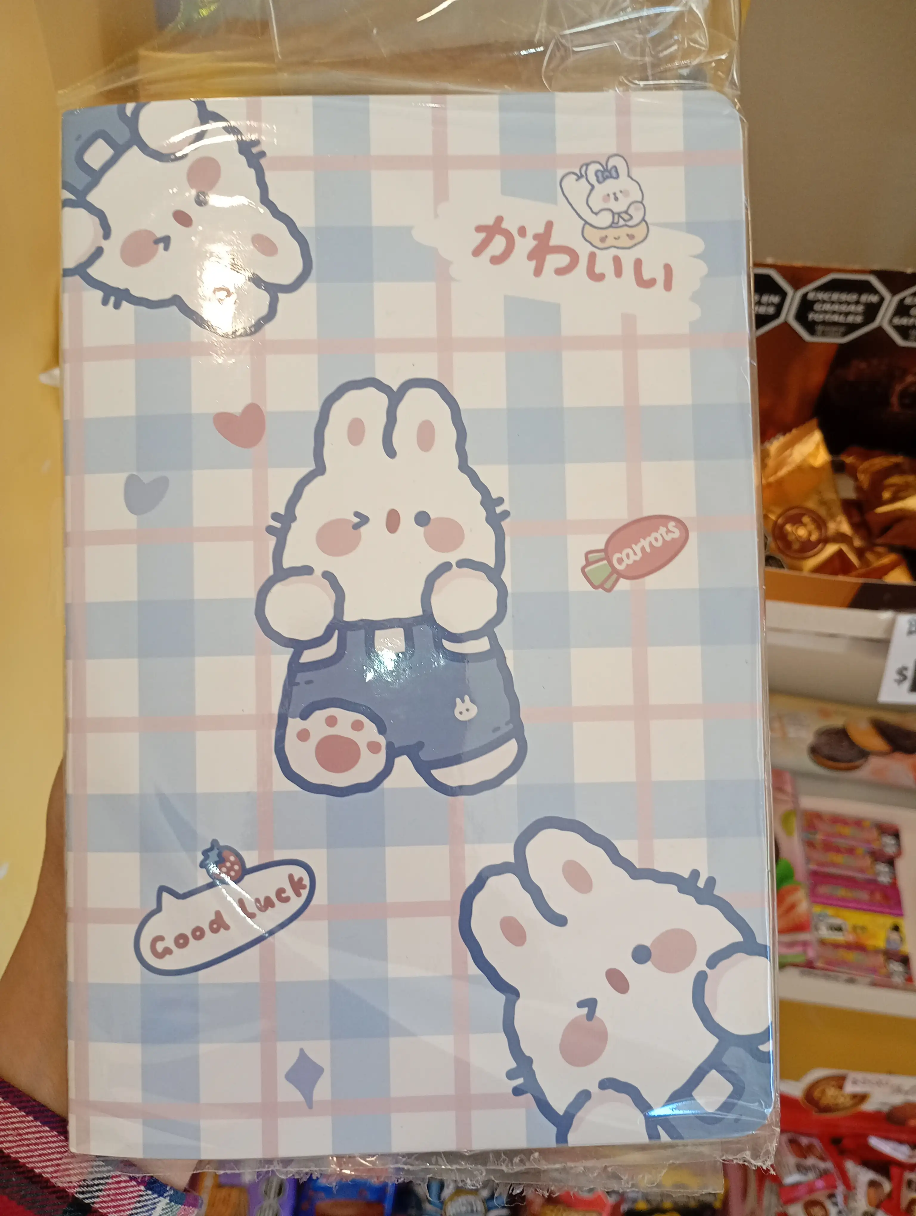Cuadernos Kawaii  2