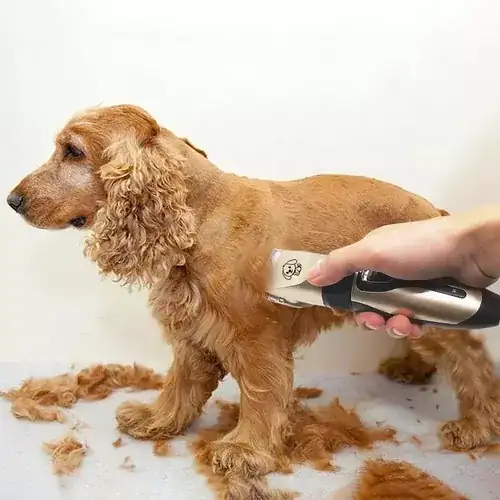 Maquina para hacer grooming 3