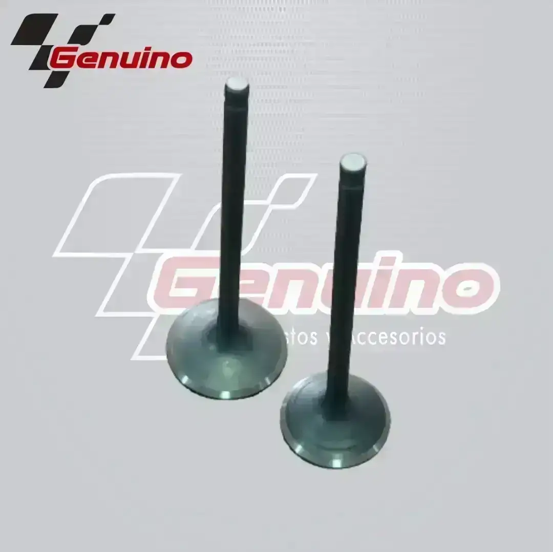 Set de valvulas