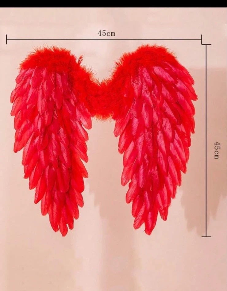 Alas de angel blanco 3