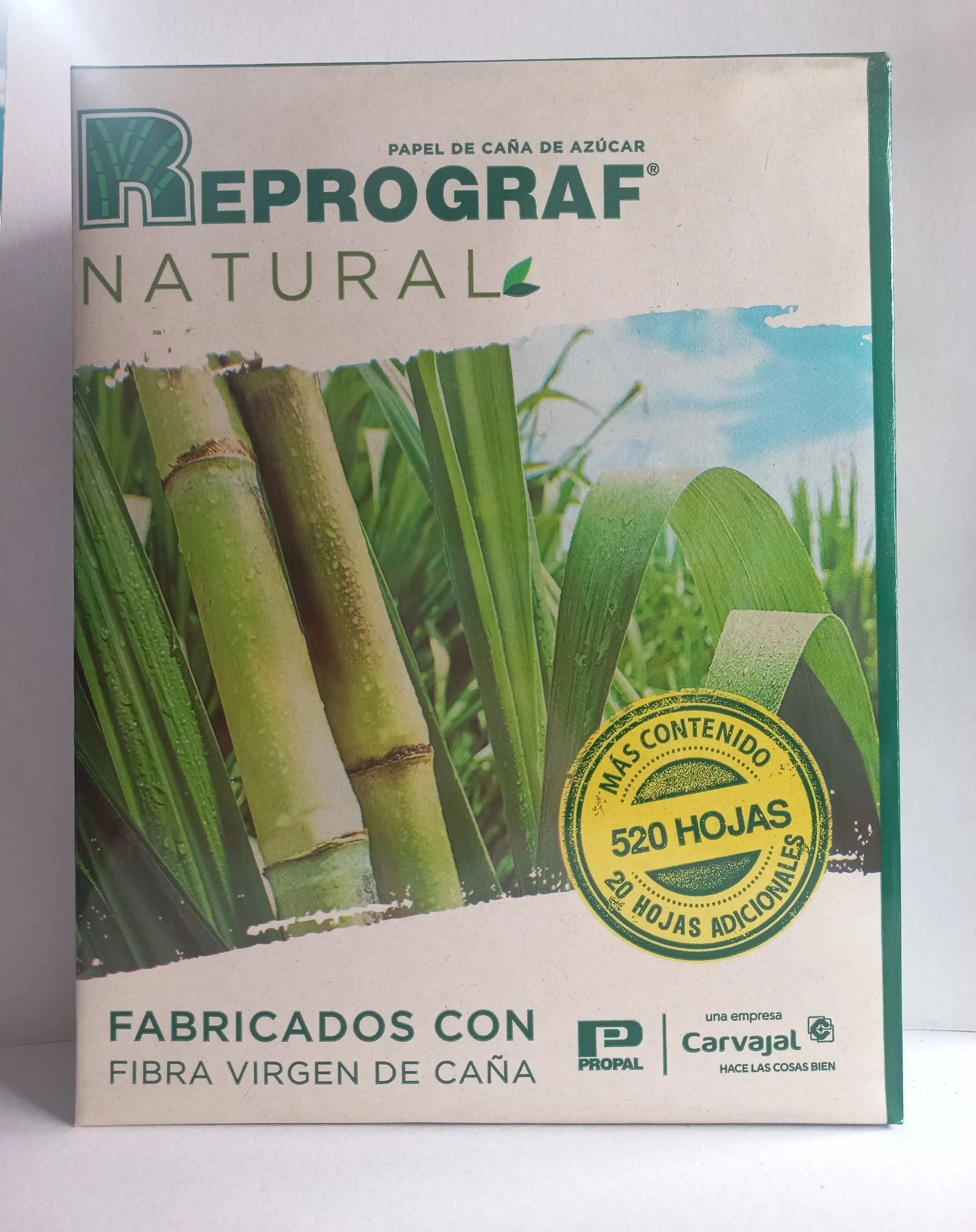 Resma carta ecologica 