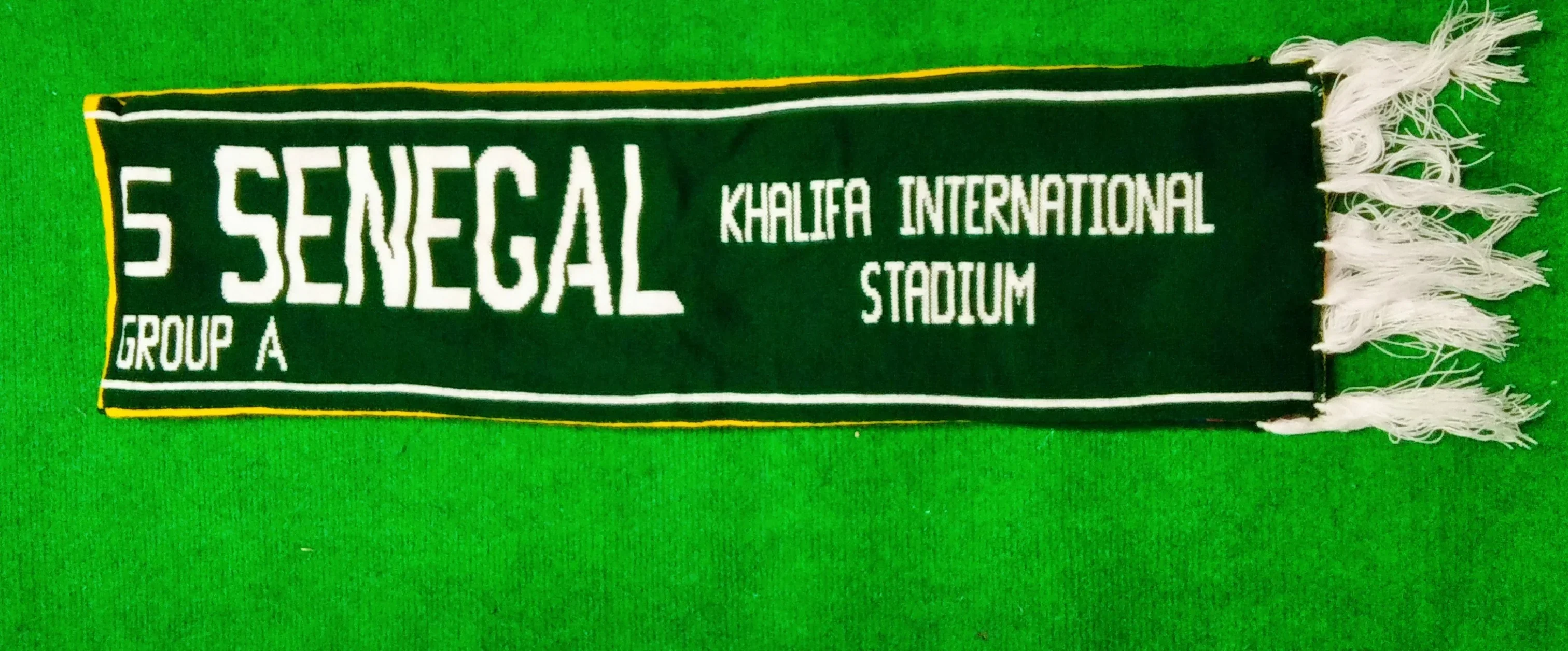 ECUADOR VS SENEGAL