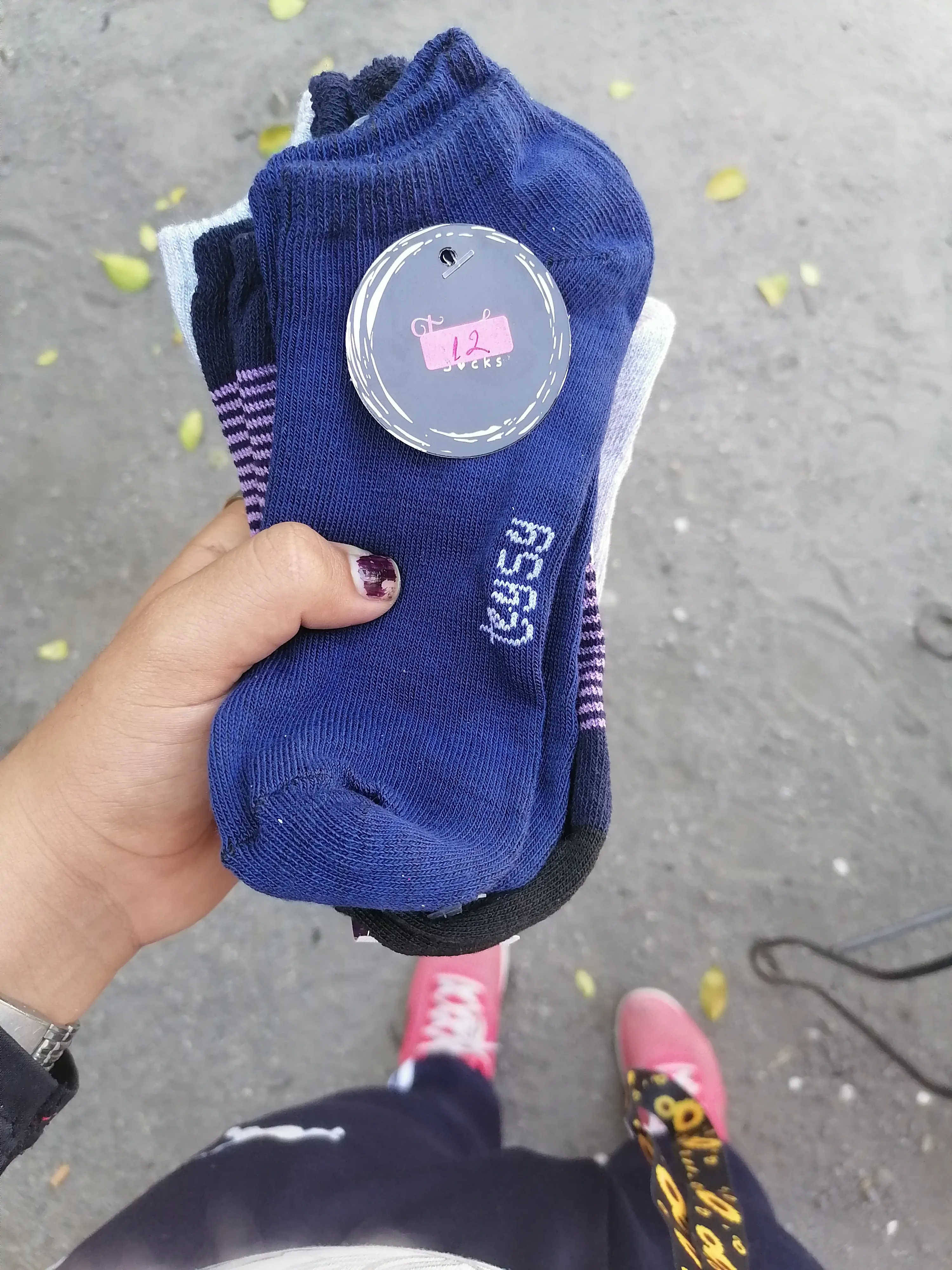 Calsetas unixes