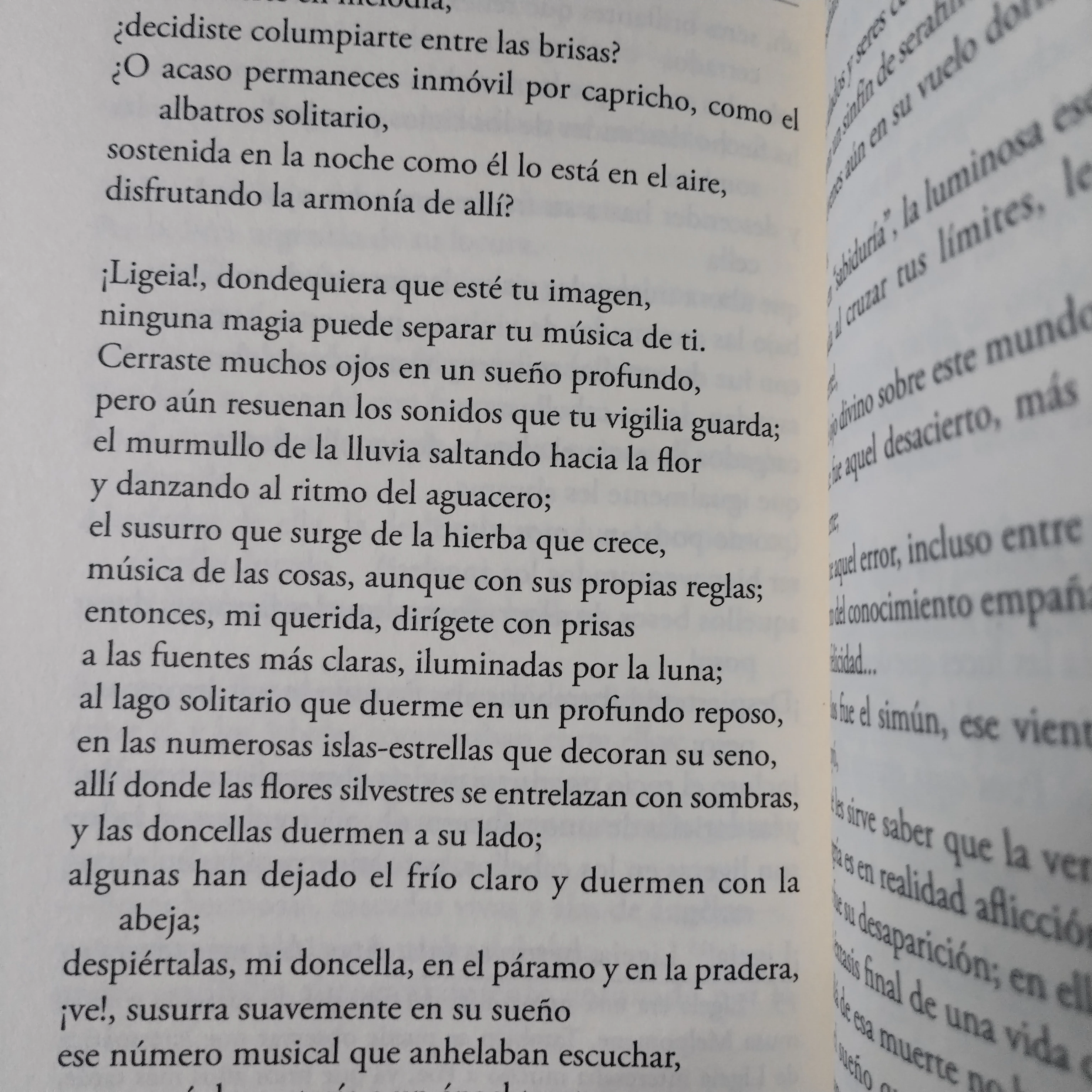 El cuervo y otros poemas, Edgar Allan Poe nuevo  4