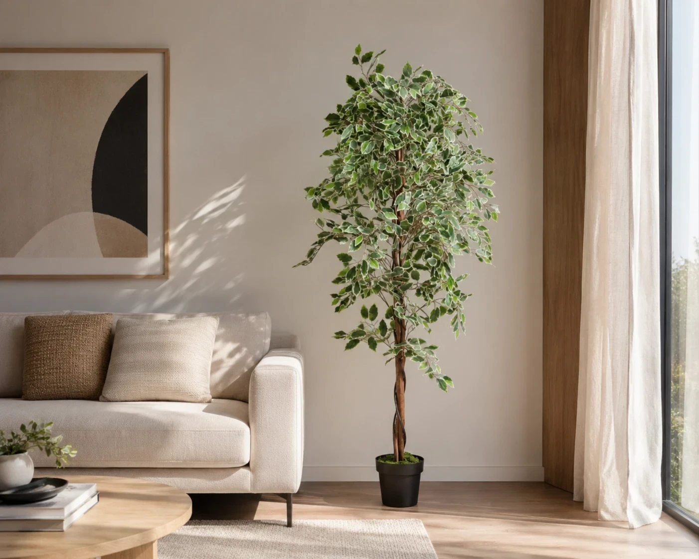Planta Ficus Toscana 188cm altura 5