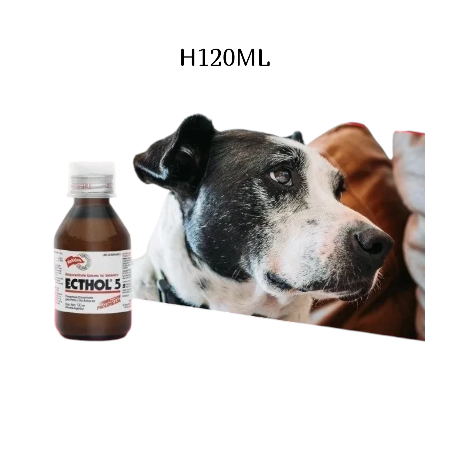 ECTHOL 120ML