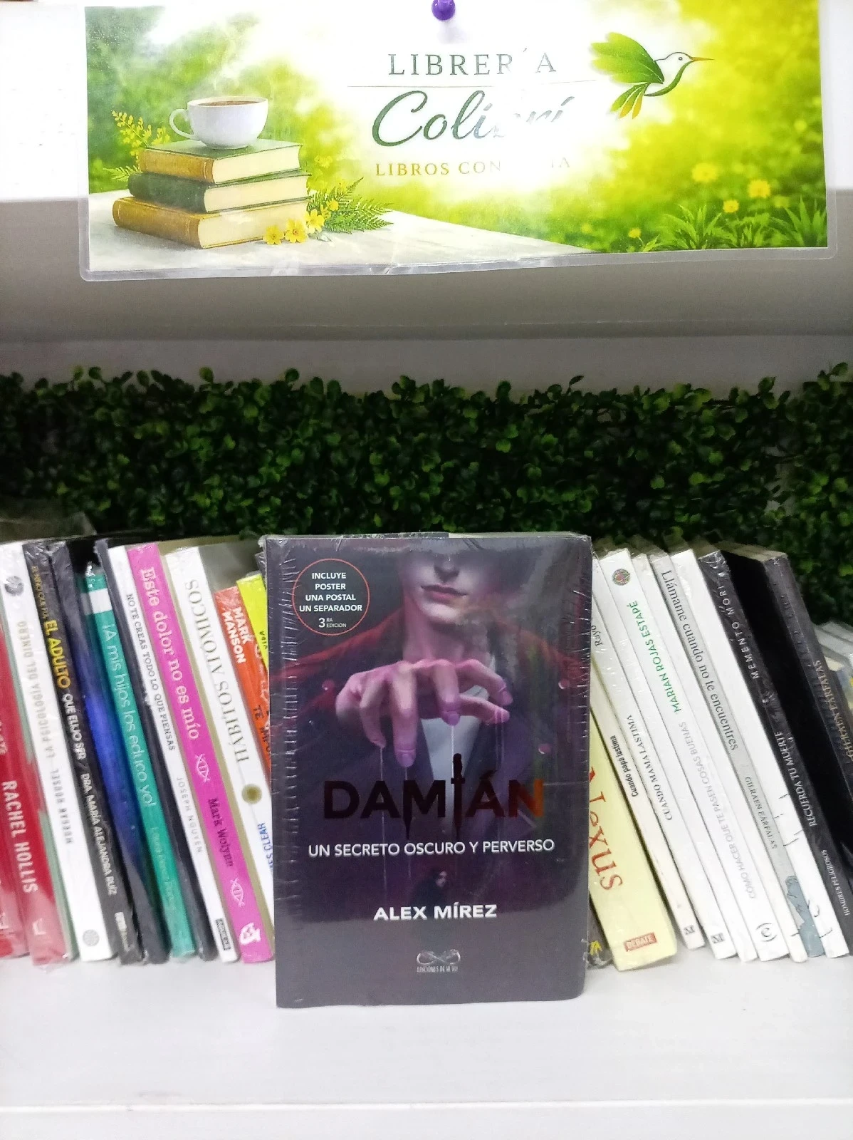 Damián: Un secreto oscuro y perverso — Alex Mírez