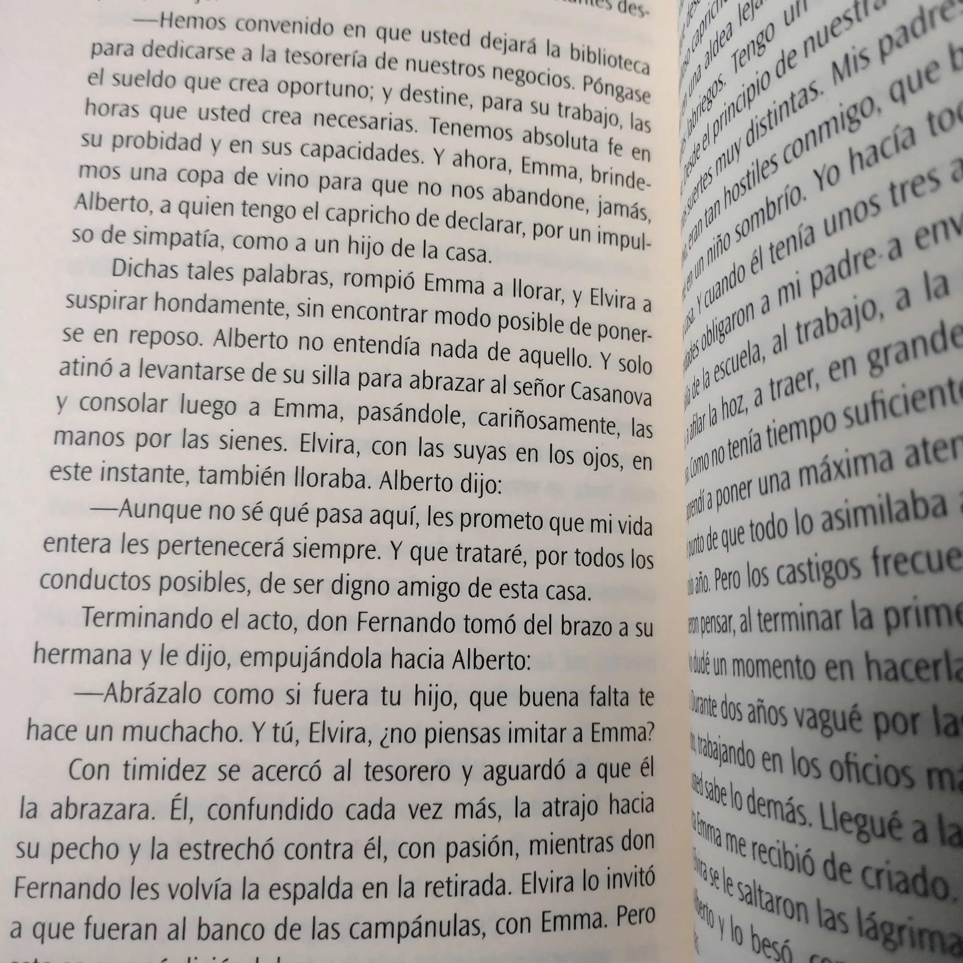Elvira , Moisés vincenzi usado 3