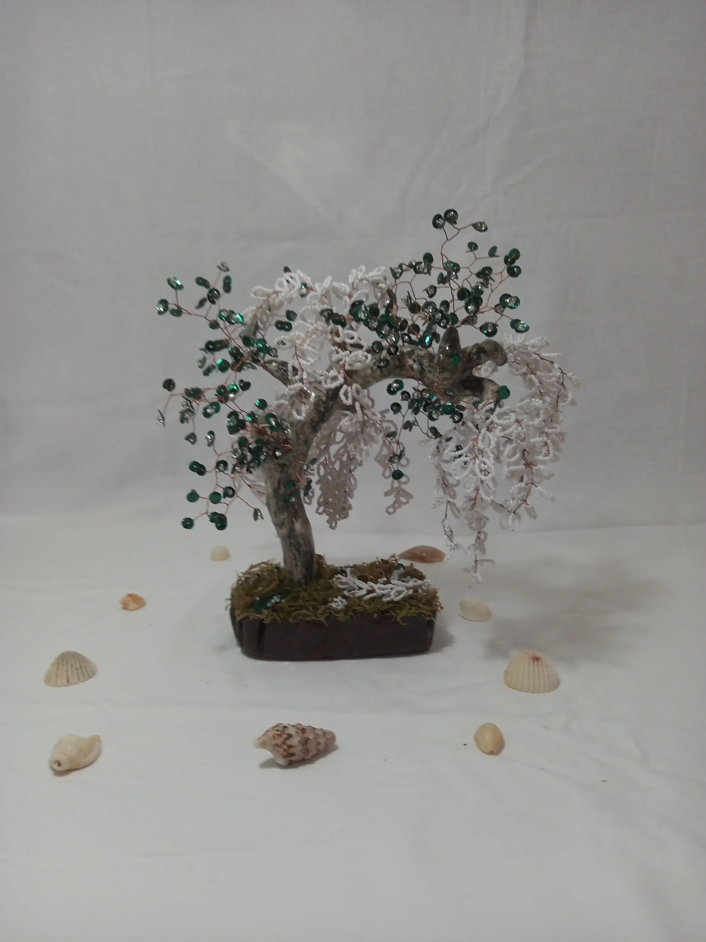 Bonsai Sauce Lloron Blanco 