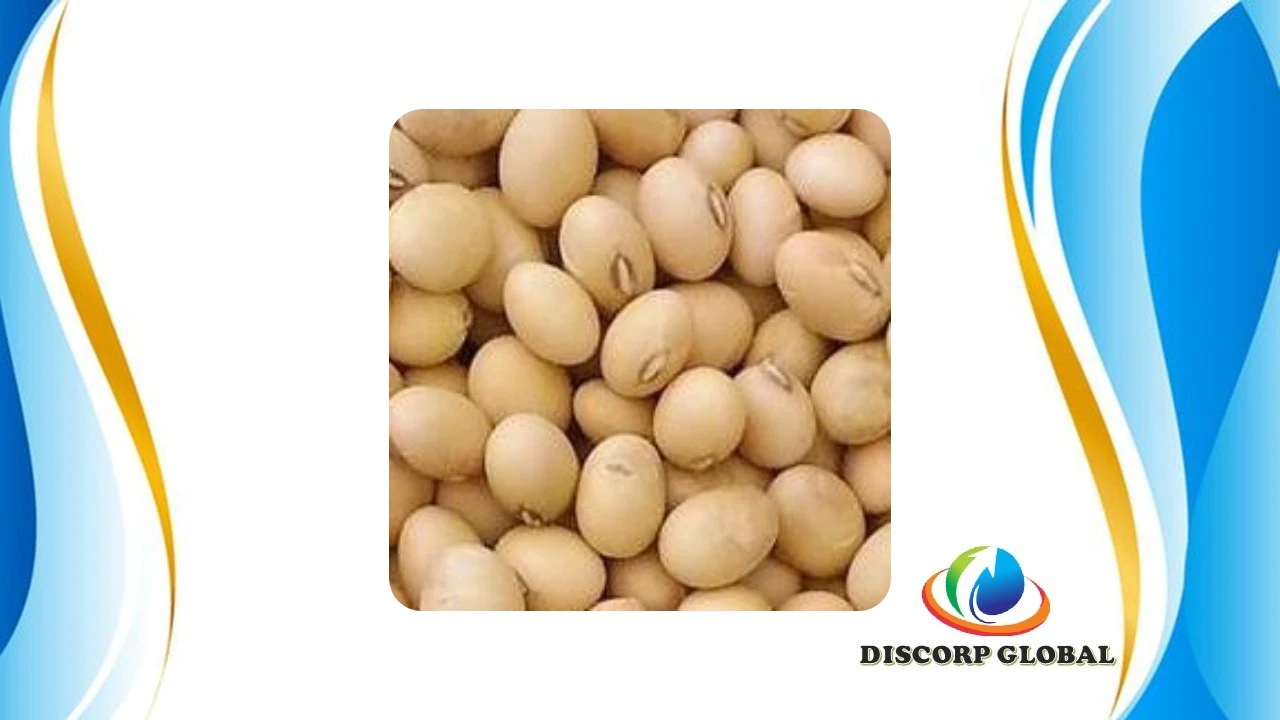 SOYA ENTERA