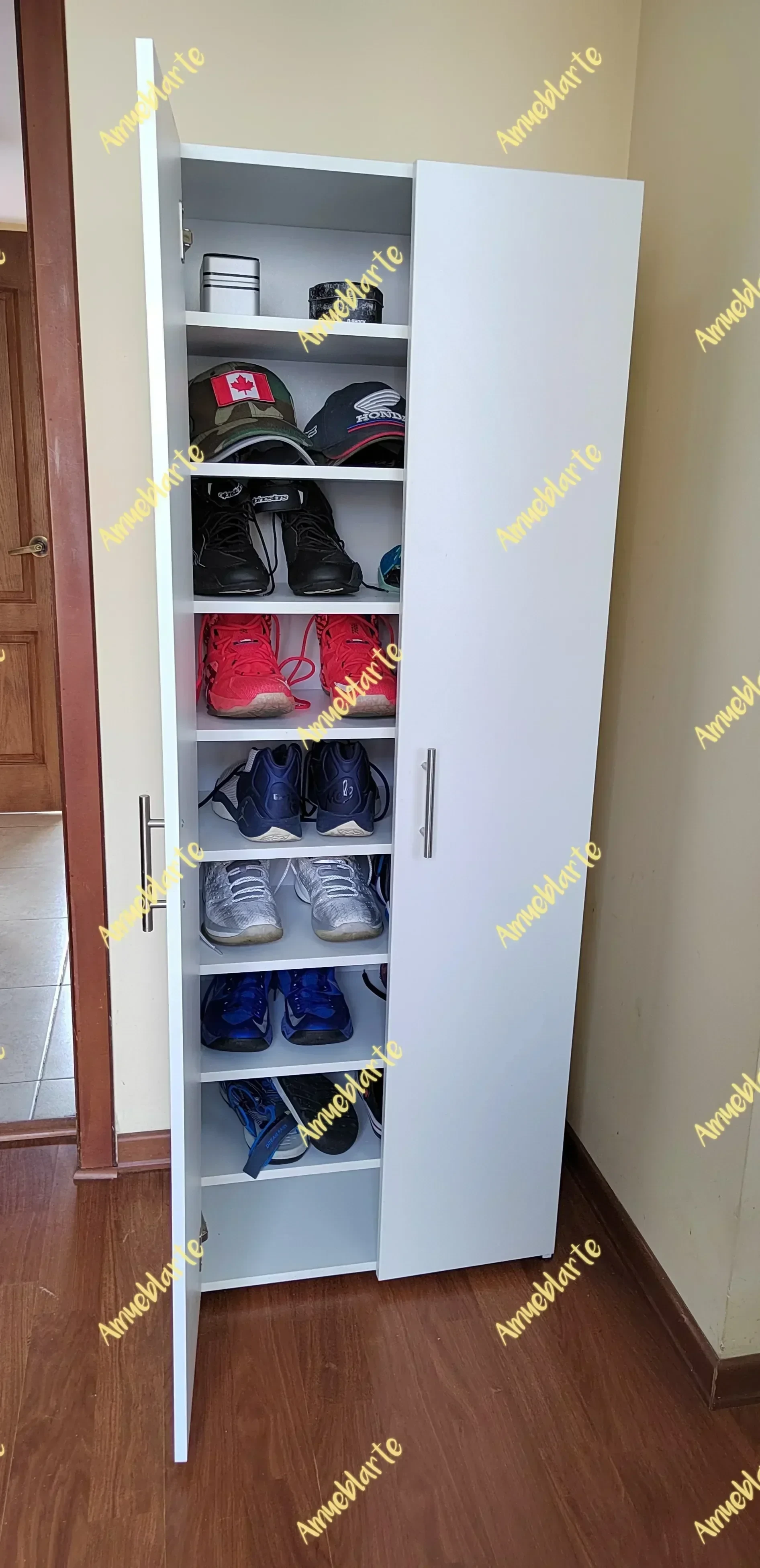 Zapatera Midland  5