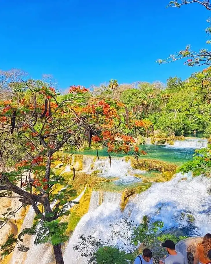 HUASTECA POTOSINA 2, RUTA  NORTE