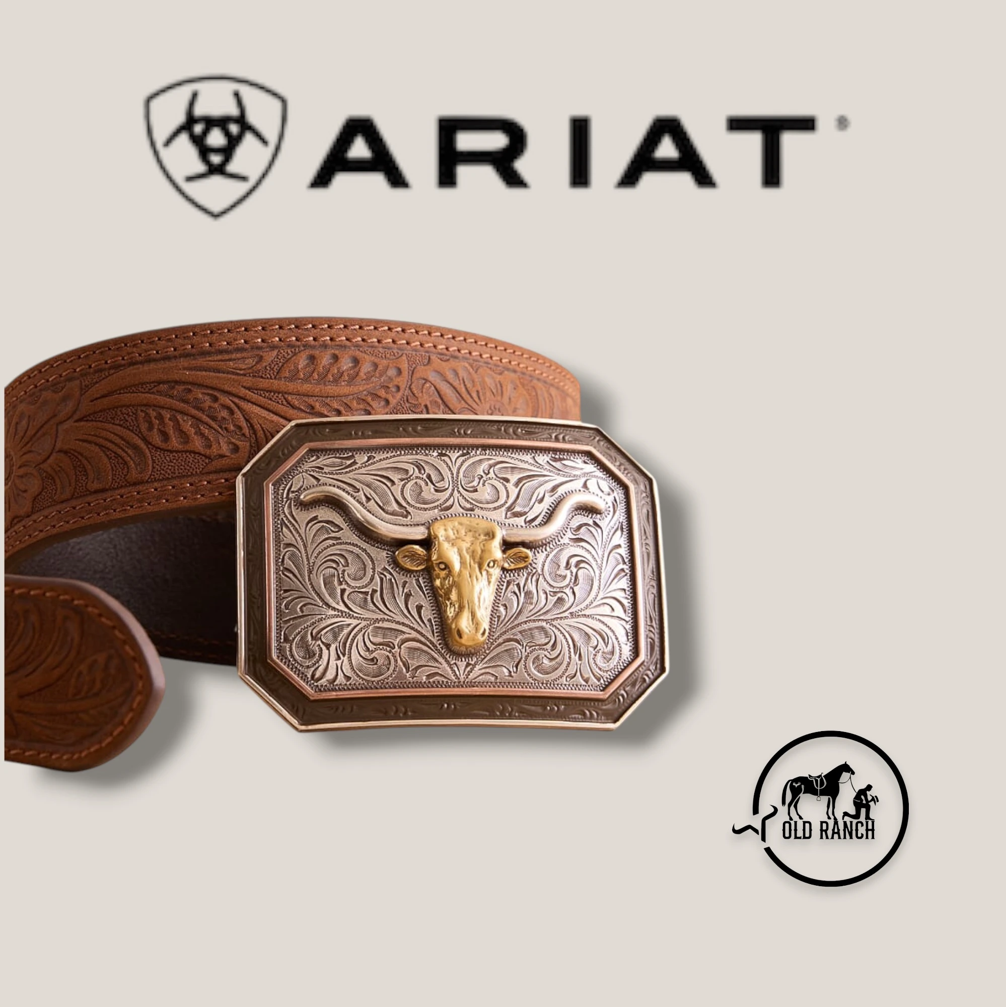 ARIAT 2